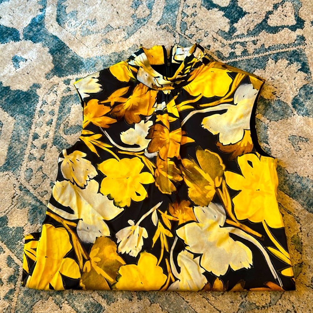 Sleeveless black and gold shirt.